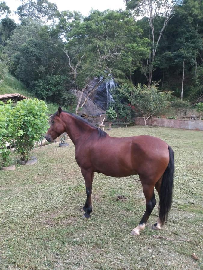 Sitio Olho De Boneca Homestay Itamonte