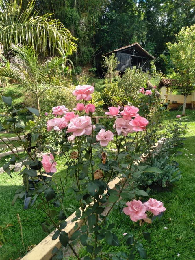 Sitio Olho De Boneca
